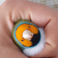 Erdinç 