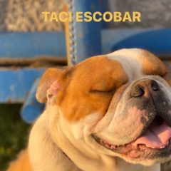 tac-escobar