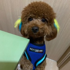 Charlie