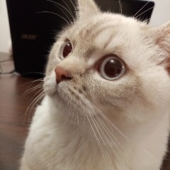 Arthur