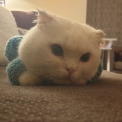 Jamie