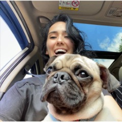 Ucretsiz Kopek Verenler