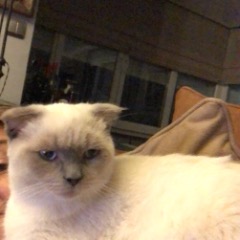 Boris