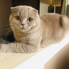 Ares