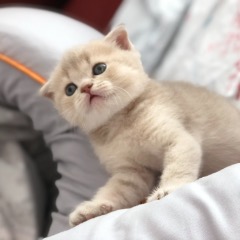 Hera