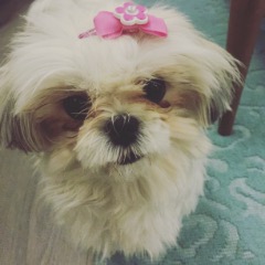 Cindy