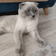 Pablo