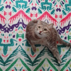 Duman 