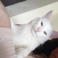 Zeus 