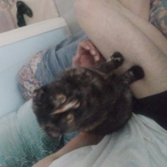 Molly